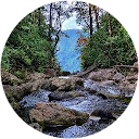 Davis Stephen profile picture