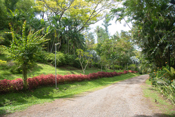 ISO-Certification-Qualitcert-Lautoka